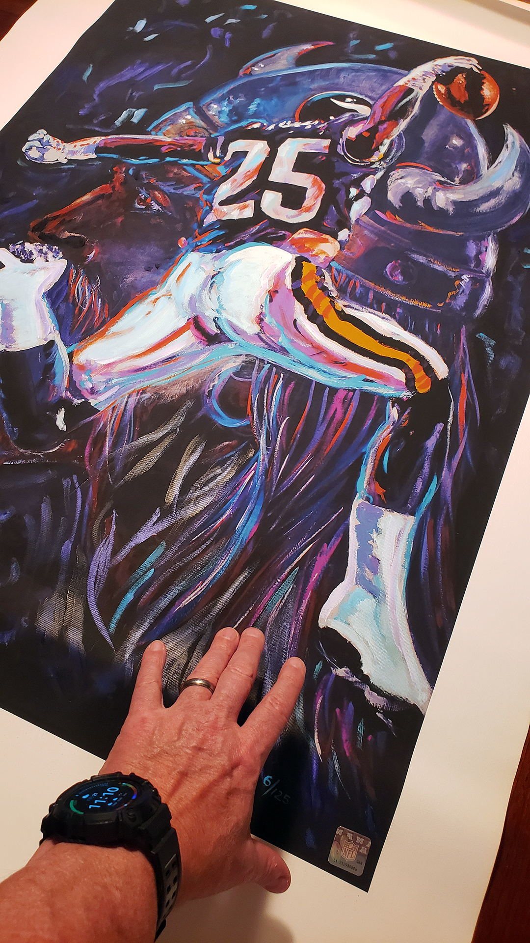 Minnesotta Vikings Canvas