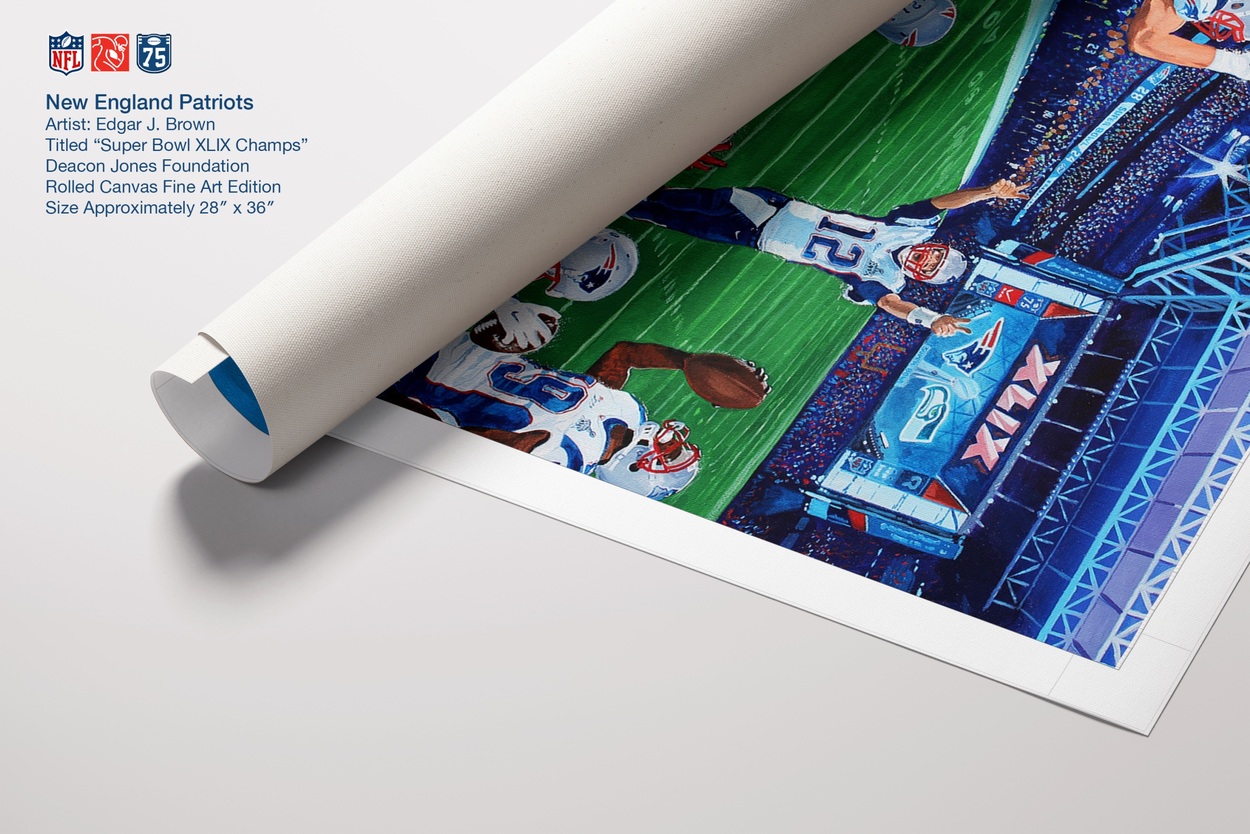 Super Bowl XLIX - New England Patriots